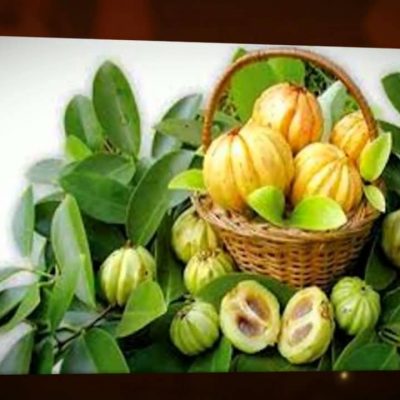 Garcinia Cambogia- What Exactly Does It Do?